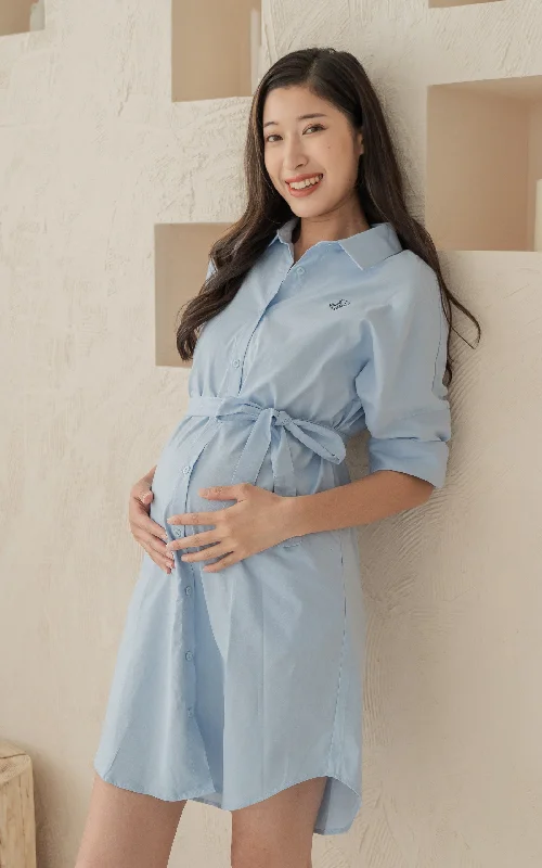 Baby Dragon Embriodery Nursing Dress in Blue Lightweight unclassified dresses